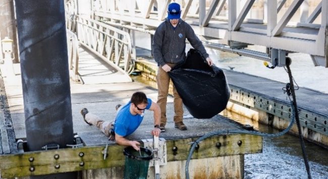 pl-marine-debris