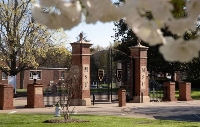 msu-w-flowers-4