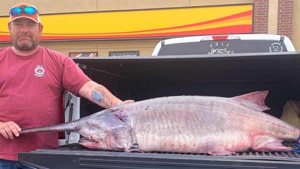 record-fish-crop
