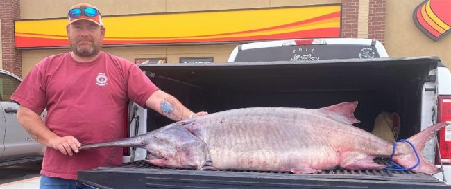 record-fish-crop