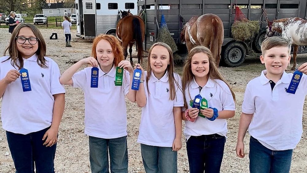 4-h-kids-horse-judging