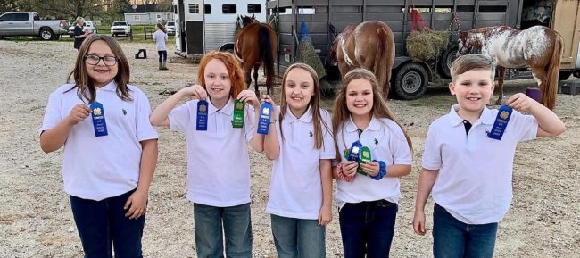 4-h-kids-horse-judging