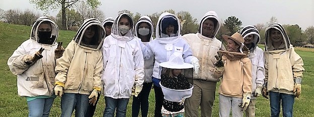 martin-middle-bees