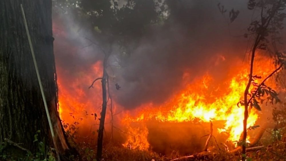 mansfield-car-wreck-fire-2-crop