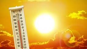 heat-wave-crop