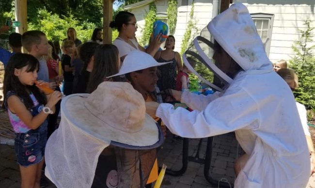 ap-garden-bees-2-crop