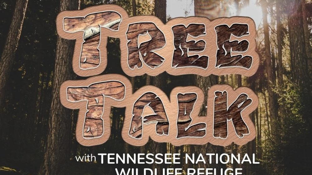 tree-talk-logo-crop