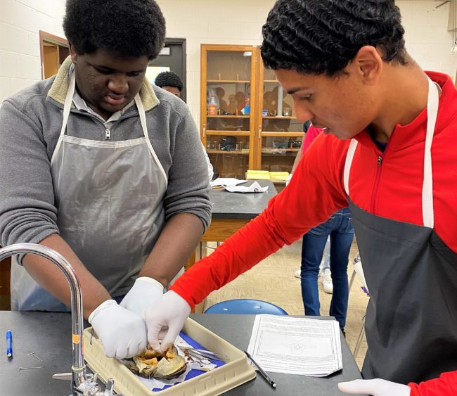 uc-rice-uchs-biology-2