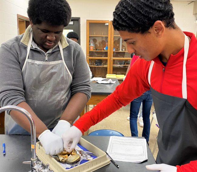uc-rice-uchs-biology-2