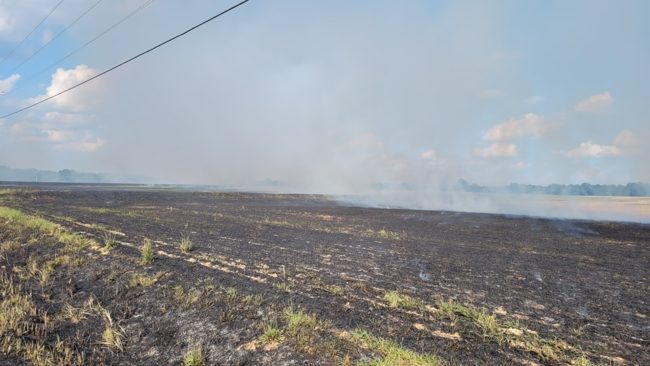 mck-field-fire