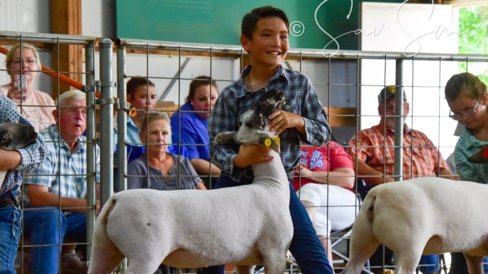 eiffel-t-lamb-show-2-jack-schultz-by-gulish