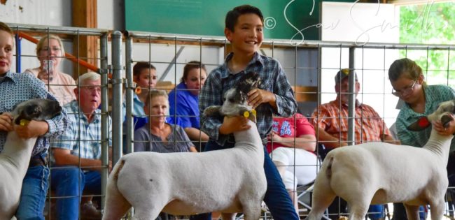 eiffel-t-lamb-show-2-jack-schultz-by-gulish