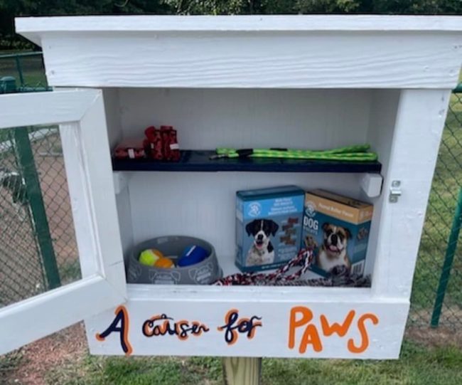 ut-paws-2