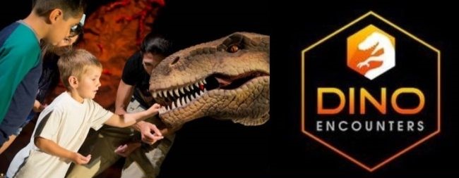 dino-2-crop