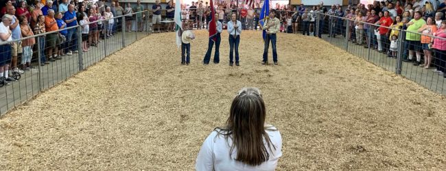 fair-sale-open-2