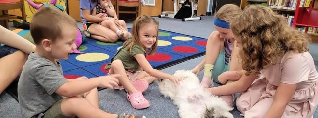library-story-bubba-2-crop