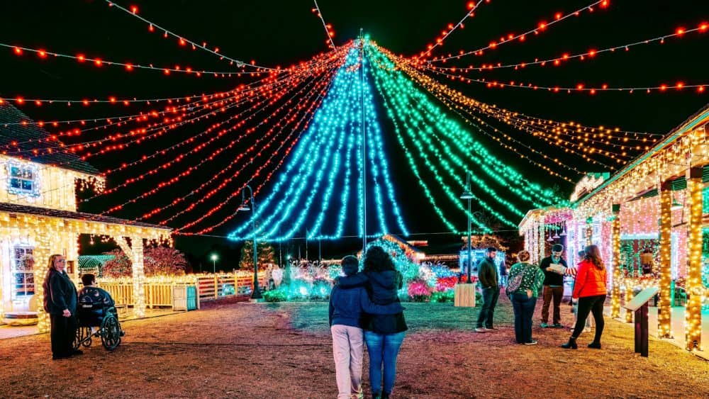 dpa-jeremy_rasnic-20211111-6c9a5619-hdr_dn-low-light-crop