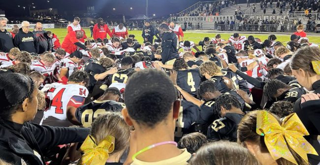 hc-springfield-fans-by-jon-d-2-crop
