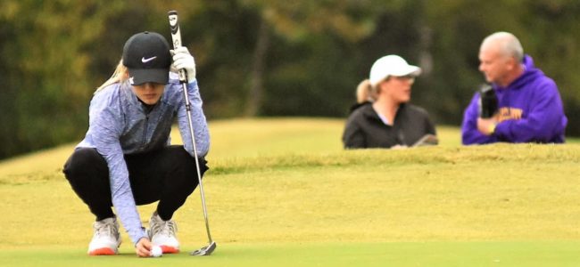 state-golf-4-1-fix