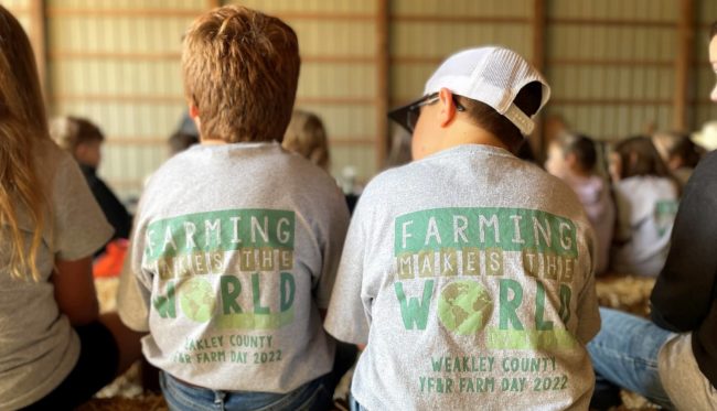 wkley-farm-day-2-crop