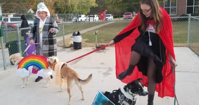 howl-o-ween-dogs-2-crop