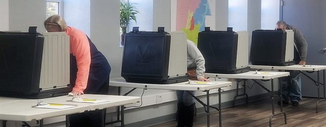 voting-hc-2-crop