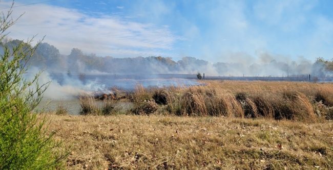 mckenzie-wild-fire-2-crop