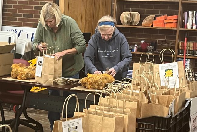 library-bulbs-fran-carol
