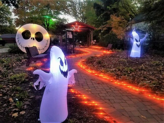ap-bot-hallow-oct-21
