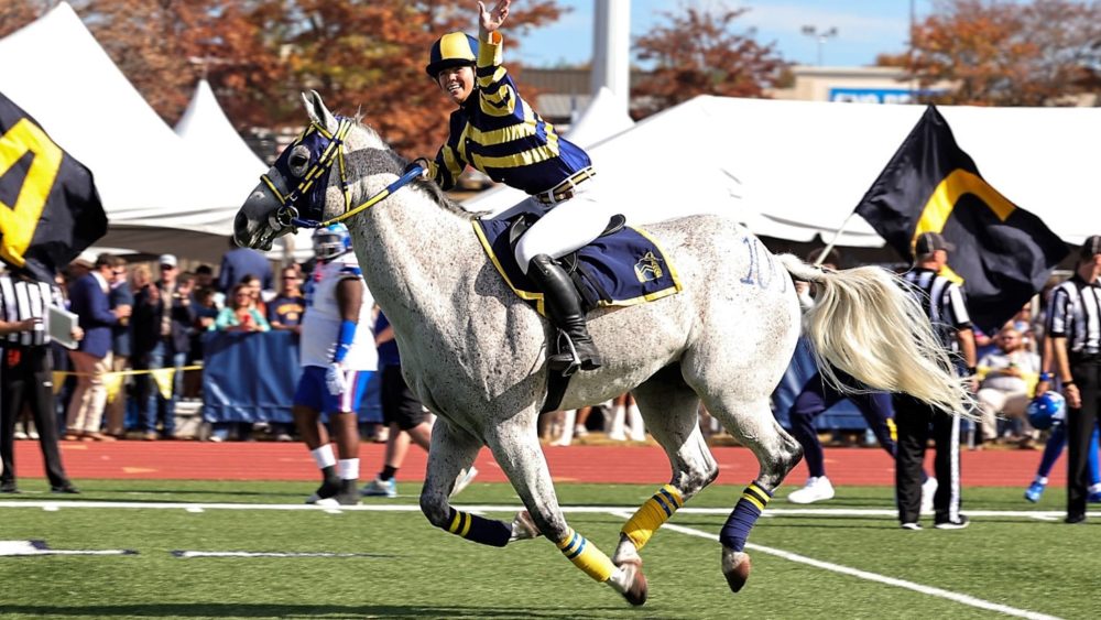 murray-state-horse-2