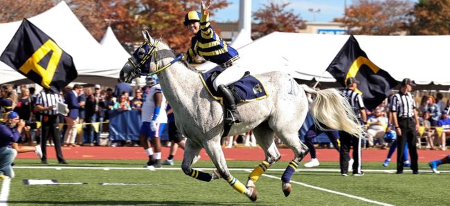 murray-state-horse-2