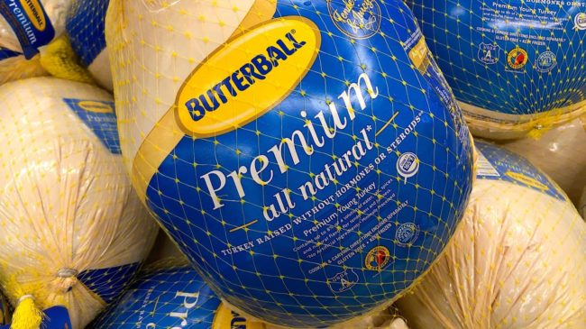 turkeys-2