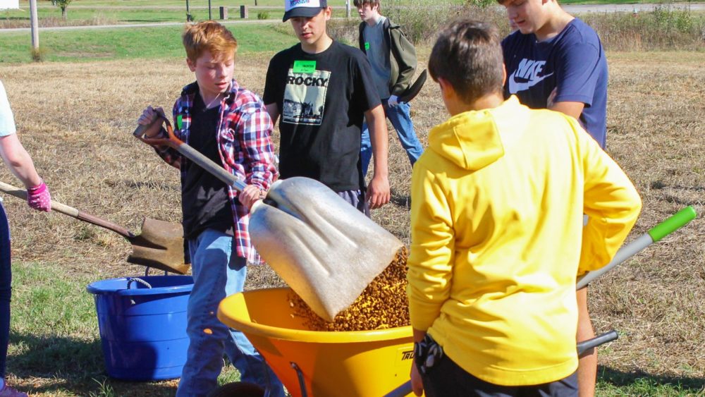 ffa-garden-boxes