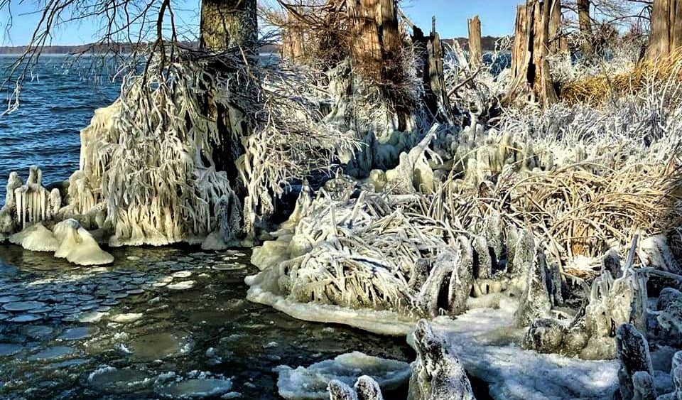 reelfoot-ice-2-2-crop