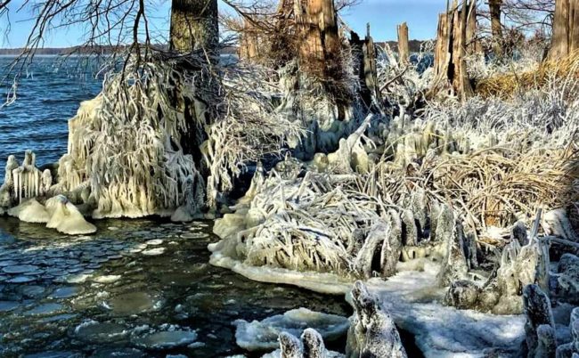reelfoot-ice-2-2-crop