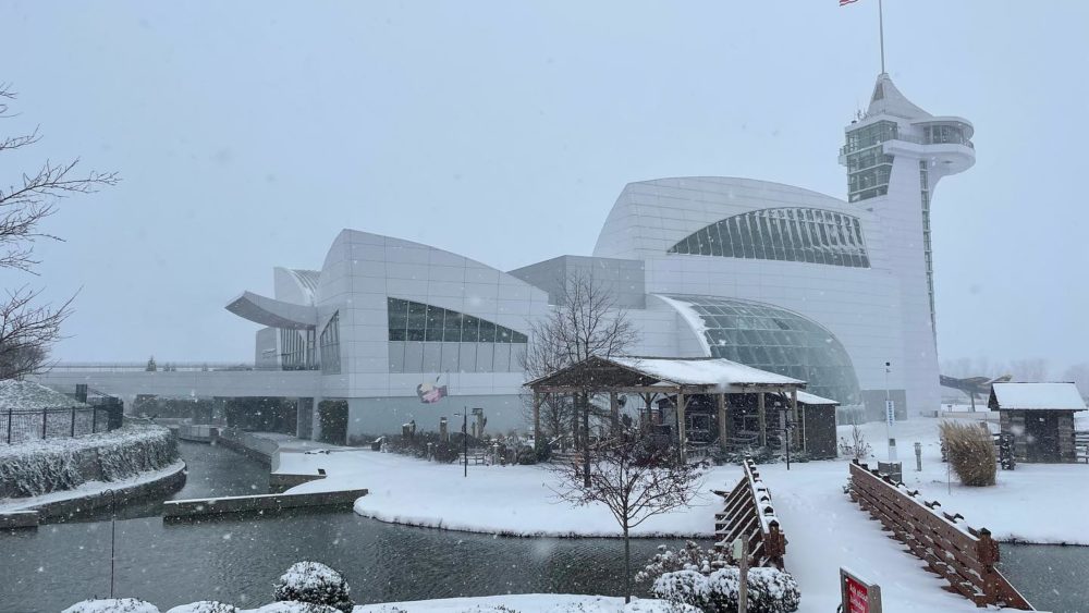 dpa-snow-more-3