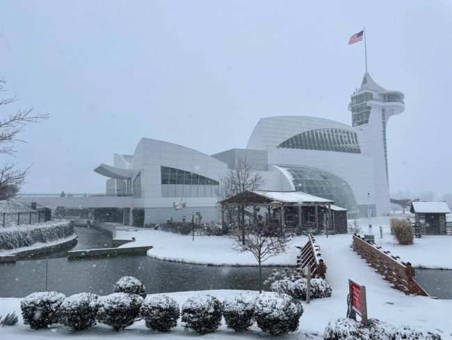 dpa-snow-more-3