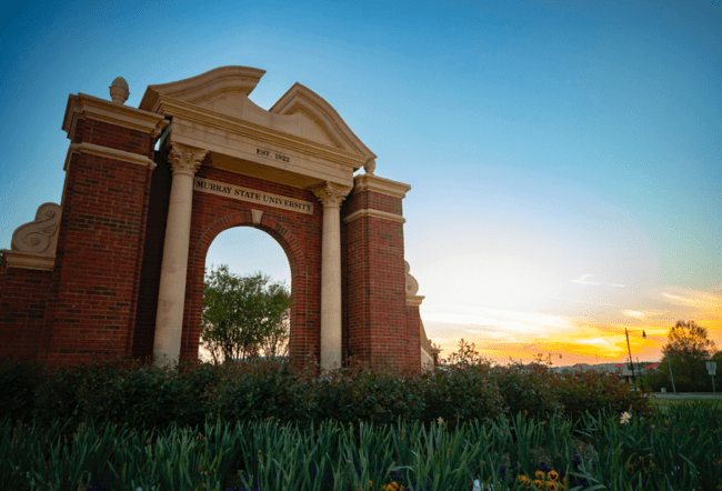 msu_with-arch