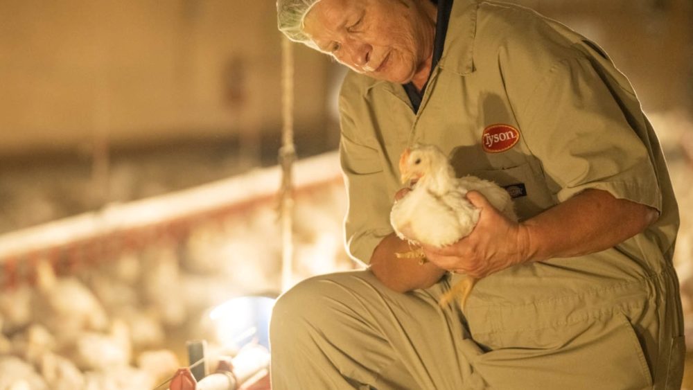 tyson-foods-2