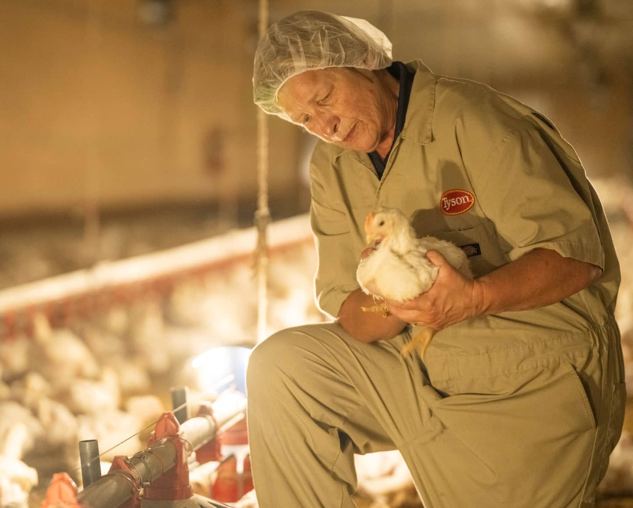 tyson-foods-2