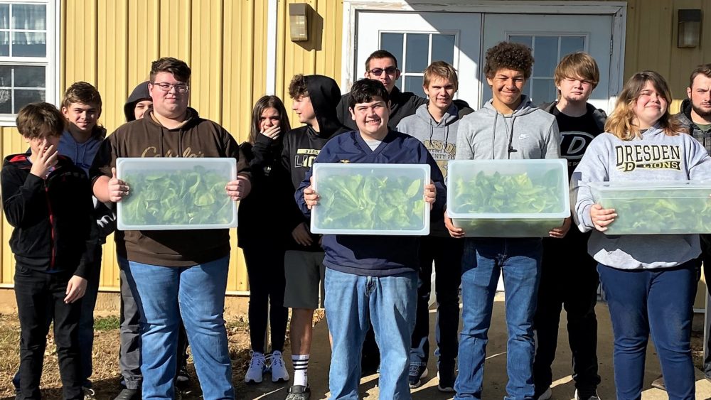 dresden-ffas-first-lettuce-grown-hydroponically