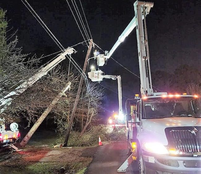 bpu-nite-work-wires-terry-2-fix
