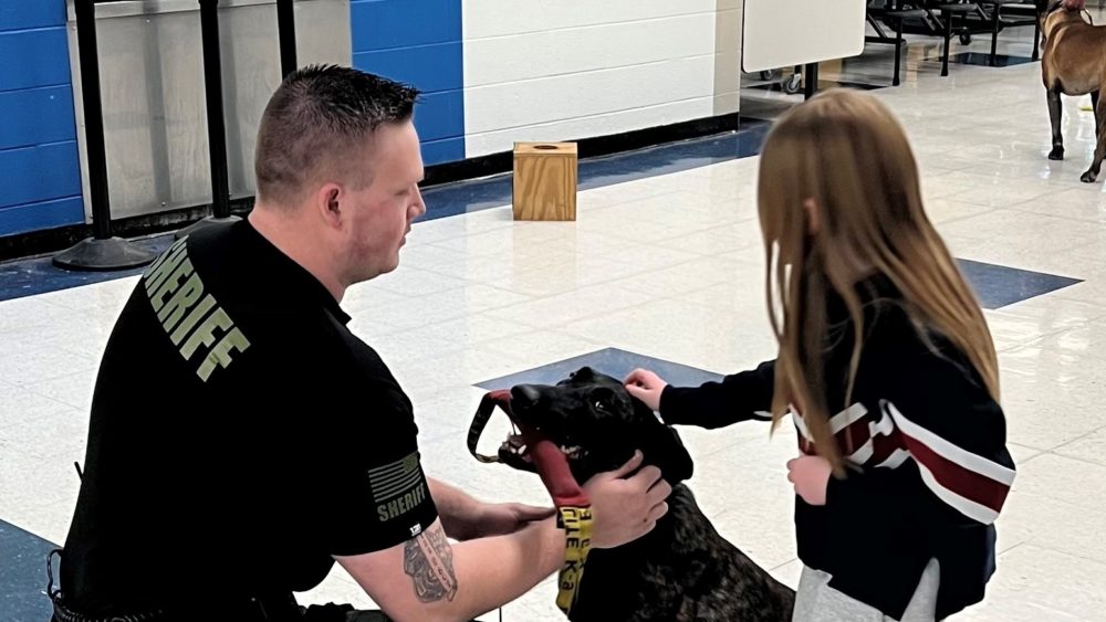 stew-co-k9s-demo-2