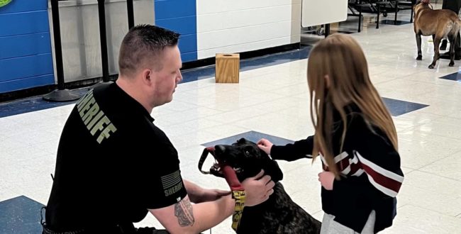 stew-co-k9s-demo-2
