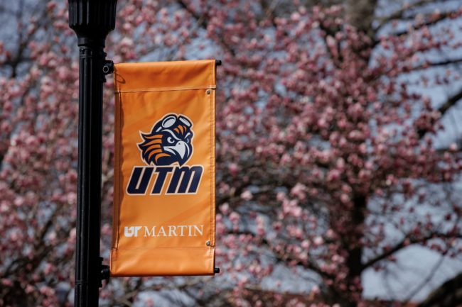 utm-banner