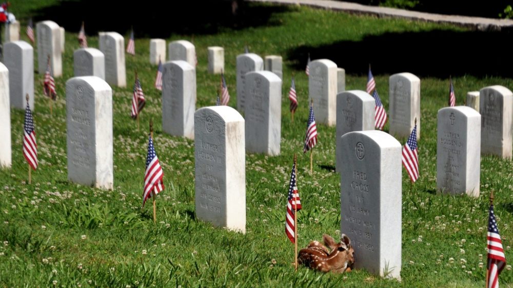 ft-d-graves-2