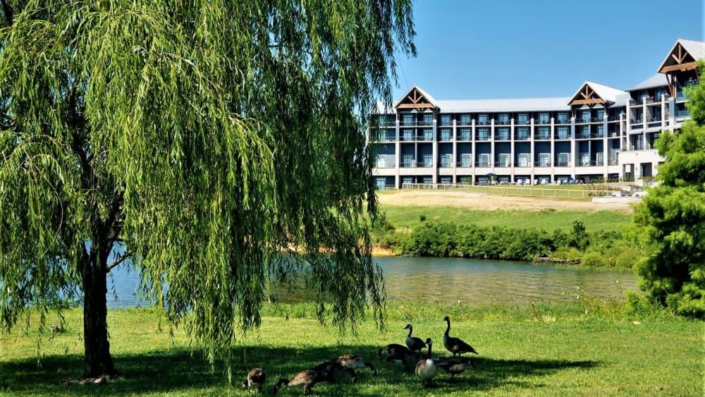 pl-lodge-and-geese