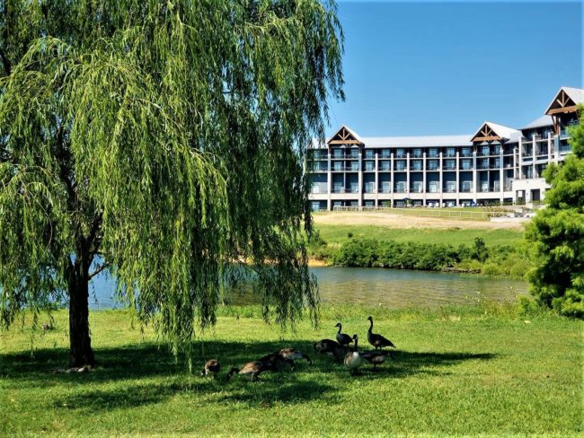 pl-lodge-and-geese