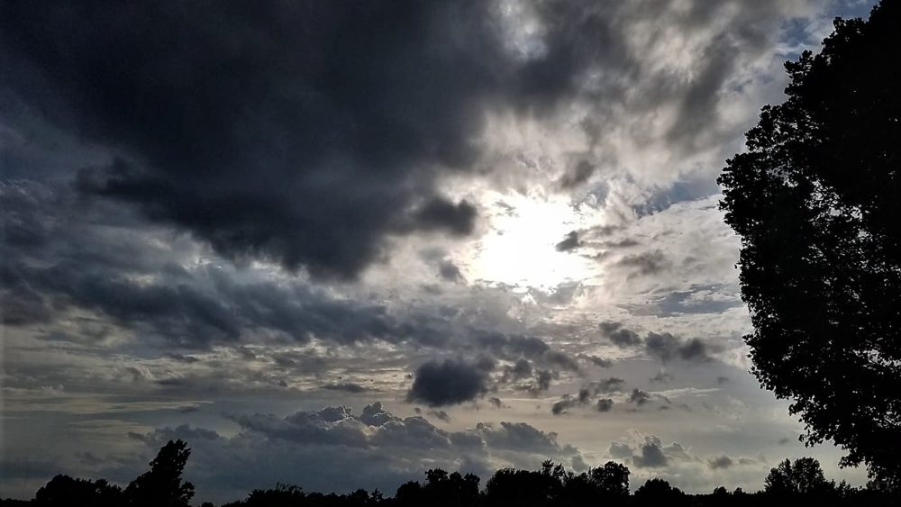 maple-storm-2