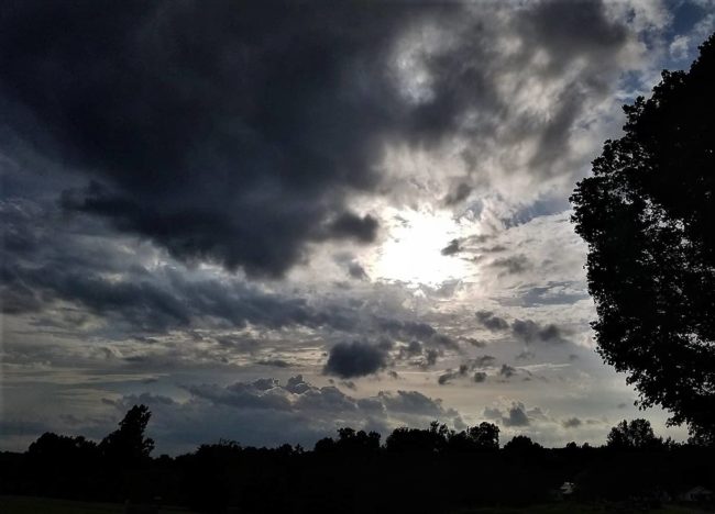 maple-storm-2